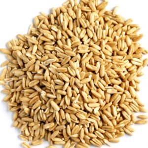 Dried Oat Grain