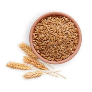 Organic Wheat Grains